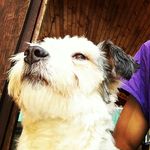 Profile Picture of Hasan Vilasevic (@hasanvilasevic) on Instagram