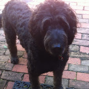 Profile Picture of Patrick North (@patricknorth4695) on Youtube