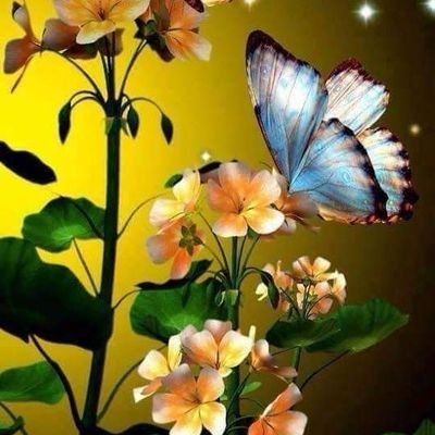 Profile Picture of Vivian Thompson (@vmthompson) on Twitter