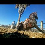 Profile Picture of joshuaa (@joshua.carbajalh.053) on Instagram