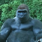 Profile Picture of Clark Coley (@clark.coley.7) on Instagram