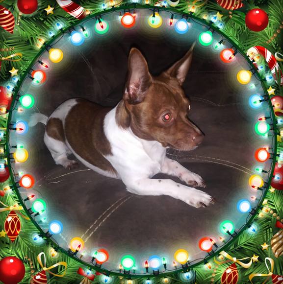 Profile Picture of John Mathis (@jmathis936) on Poshmark