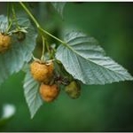 Jessett - Instagram Profile Picture of Jessett (@jessettackerman) on Instagram