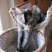Profile Picture of Heather Faucher (@heather91374) on Pinterest