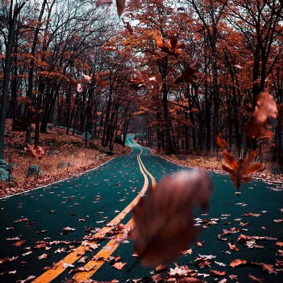 Profile Picture of Noell Koenigsdorf (@noell25) on Poshmark