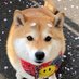 Profile Picture of Chen Wen-Hsiang (@Chen_WenHsiang) on Twitter