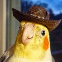 Profile Picture of Tyler Swafford (@tyler-swafford-5) on Quora