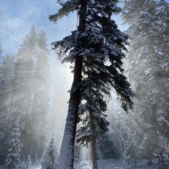 Profile Picture of Sarah Loveridge (@sarahloveridge) on Poshmark