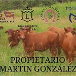 Profile Picture of Martin Gonzalez (@martingonzalez.real) on Instagram