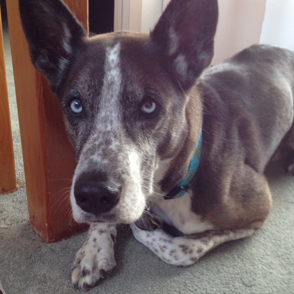 Carla Dickenson - Poshmark Profile Picture of Carla Dickenson (@carlard) on Poshmark