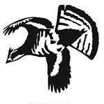 Profile Picture of Darryl P. (@uplandalberta) on Instagram