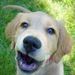 Profile Picture of Good Sites for Kids (@chuck3433) on Pinterest