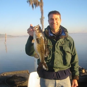 Profile Picture of Michael Scheid (@louisvillebroker) on Myspace