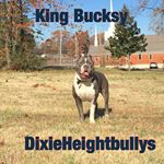 Profile Picture of Michael Matthews (@dixieheightbullys) on Instagram