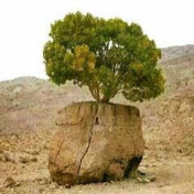 Profile Picture of Idris Khalaf (@idriskhalaf4288) on Youtube