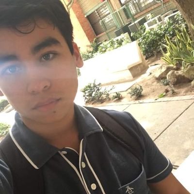 Profile Picture of Luis Acevedo (@Luisacevedo96) on Twitter