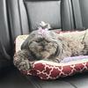 Profile Picture of Tammy (@@tammyquaal) on Tiktok