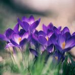 Profile Picture of Brenda Dubon (@Brenda-Dubon) on Facebook