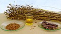 Profile Picture of Seed oil misinformationon Wikipedia