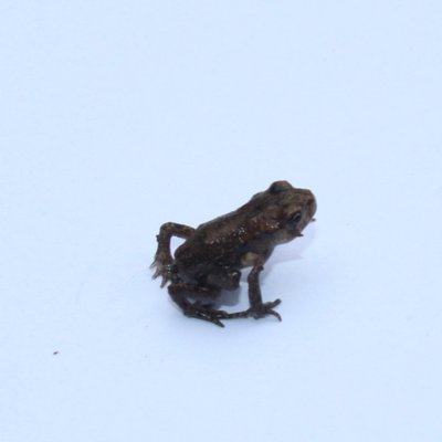 Profile Picture of Karen Potts (@PottsKarenn) on Twitter