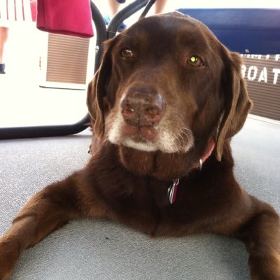 Profile Picture of John Anthony (@mustard_craig) on Twitter