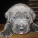 Profile Picture of Jovon Mcrae (@jovonmcrae) on Pinterest
