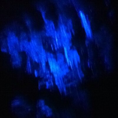 Profile Picture of Tom De Jager AFCA (@tommie442) on Twitter