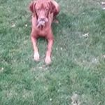 Profile Picture of Eva Karras (@karrase) on Instagram