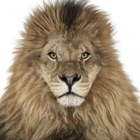 Profile Picture of Carlos Lleó Regot (@uiurp) on Pinterest