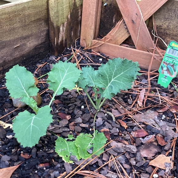 Profile Picture of Victoria Bowen (@bowenv23) on Poshmark