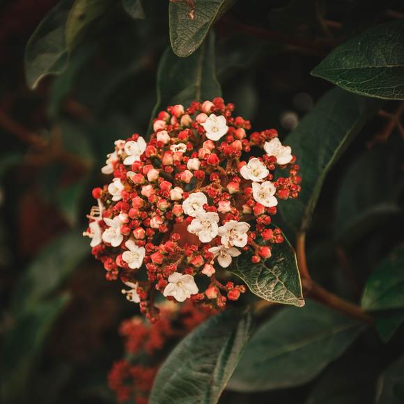 Profile Picture of Trinity Blair (@trinityb9315) on Poshmark