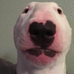 Dominic Stevens - Instagram Profile Picture of Dominic Stevens (@b_r_u_h_6969) on Instagram