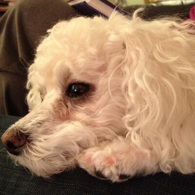 Profile Picture of Scott Wiley (@scottwiley74) on Twitter