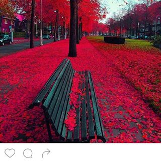 Profile Picture of Simone Baldwin (@simone.baldwin.5245) on Facebook