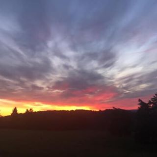 Profile Picture of Lisa Mauck Kenney (@lisa.mauckkenney) on Facebook