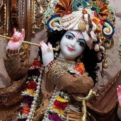 Profile Picture of Mitali Chatterjee (@MitaliC72548873) on Twitter