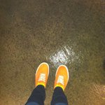 Profile Picture of Randall (@randallzuwhitley) on Instagram