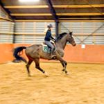 Profile Picture of June Dideriksen (@junedideriksen) on Instagram