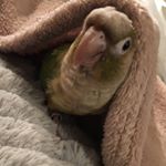 Profile Picture of Barbara Walsh (@barbara_lili_w) on Instagram