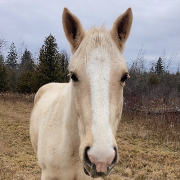 Abby Dekalb - Poshmark Profile Picture of Abby Dekalb (@abbydekalb) on Poshmark