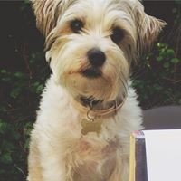 Profile Picture of Suzie Kallin (@suzie-kallin) on Quora