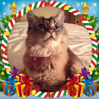 Profile Picture of Katherine Reid (Katie) (@katherine.reid.09) on Facebook