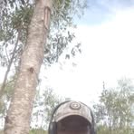 Profile Picture of Erick Walker (@Erick-Walker) on Facebook