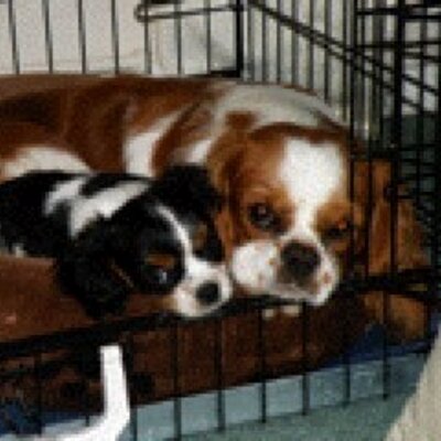 Profile Picture of Julie Sinclair (@jsinclair1970) on Twitter