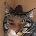 Profile Picture of Joseph Gleason (@jg.thecatcowboy) on Instagram