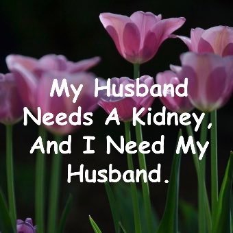 Profile Picture of Tracy L Nicholas (Renner) (@lilziggysmom) on Twitter