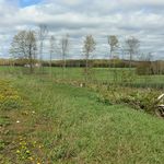 Profile Picture of Jeff Ehrmann (@falconrks) on Instagram