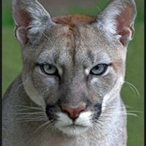 Kevin Creeley - Myspace Profile Picture of Kevin Creeley (@kevin.creeley.5) on Myspace