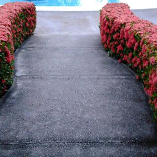 Profile Picture of Felipe Menjivar (@felipe.menjivar.14) on Facebook