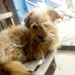 Profile Picture of Elba Schneider (@elba.sch) on Instagram